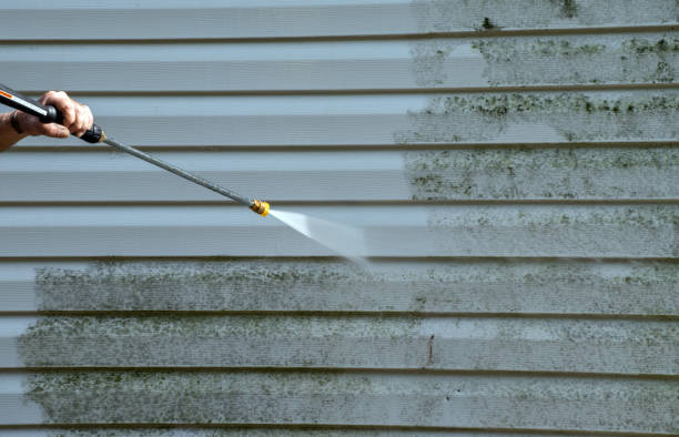 Professional  Pressure Washing Services in Williamsburg, FL